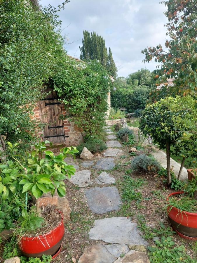 Chambre Cambalotte Saint-Florent-sur-Auzonnet Esterno foto