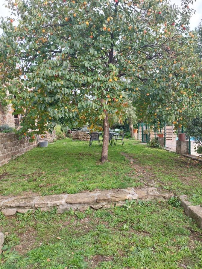 Chambre Cambalotte Saint-Florent-sur-Auzonnet Esterno foto